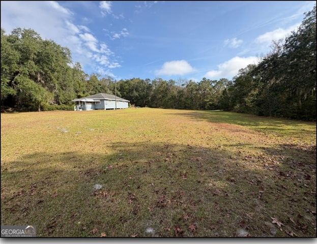 11817 GA HIGHWAY 99 Highway, Darien, GA 31305