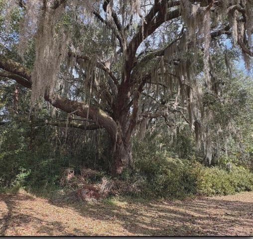 11817 GA HIGHWAY 99 Highway, Darien, GA 31305