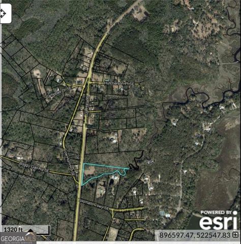 11817 GA HIGHWAY 99 Highway, Darien, GA 31305