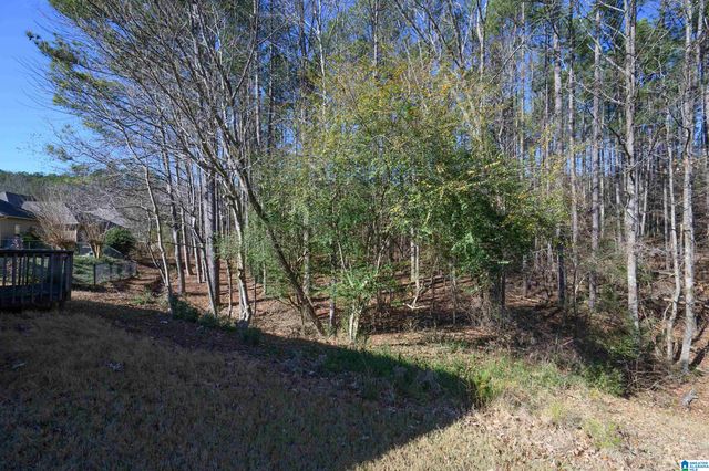 1119 WEYBRIDGE ROAD, Pelham, AL 35124