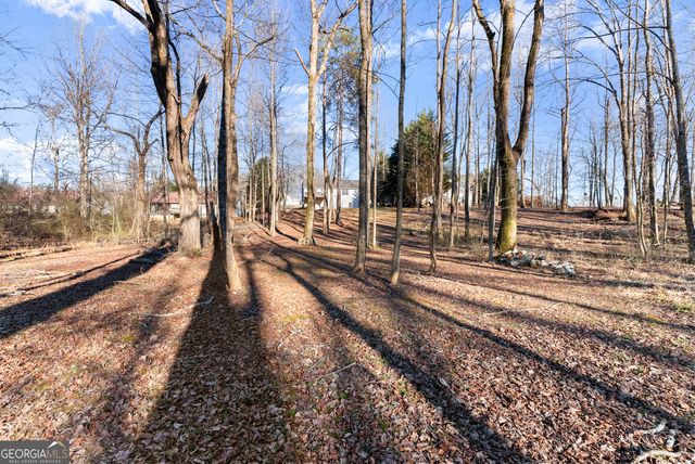 322 Ash Wood Lane, Cleveland, GA 30528