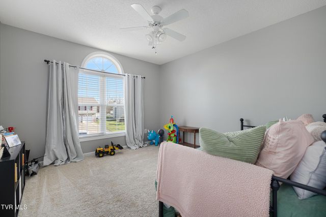 506 Crystal Springs Circle, Gray, TN 37615