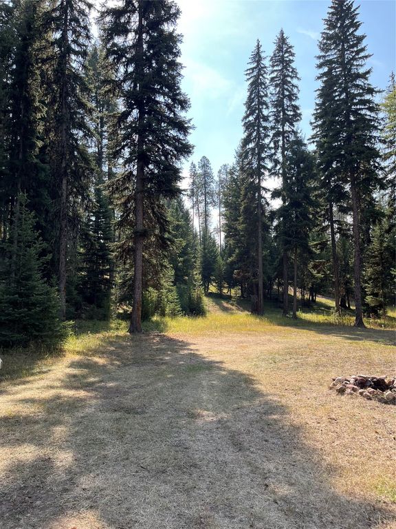 1019 Double Arrow Road, Seeley Lake, MT 59868 photo 2
