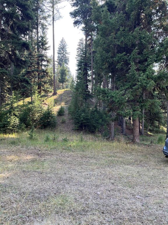 1019 Double Arrow Road, Seeley Lake, MT 59868 photo 3