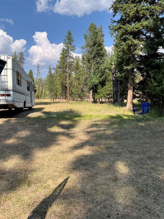 1019 Double Arrow Road, Seeley Lake, MT 59868 photo 4