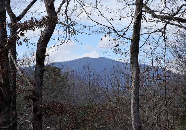 16 Souther Ridge Conn, Blairsville, GA 30512