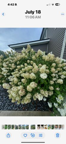 40 Ford Lane, Berea, KY 40403