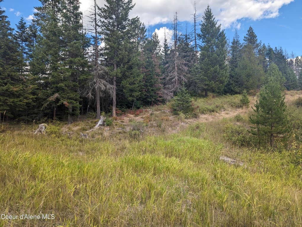 NKA Founders Rd, Emida, ID 83861