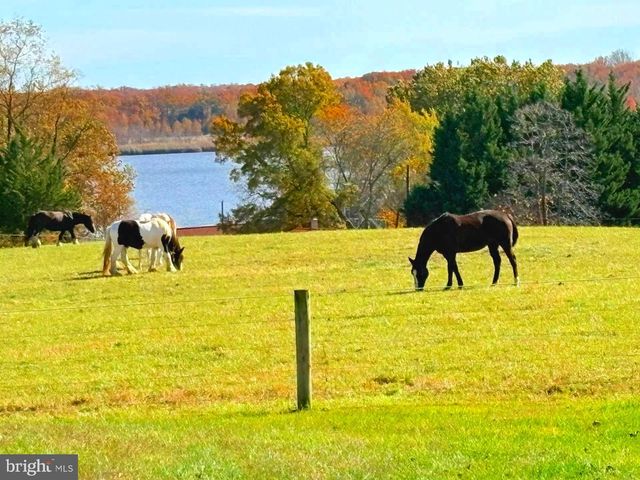 137 ELK RANCH PARK RD, Elkton, MD 21921