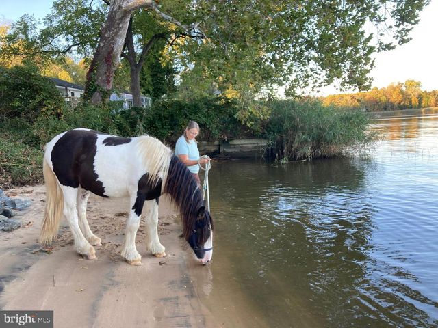 137 ELK RANCH PARK RD, Elkton, MD 21921