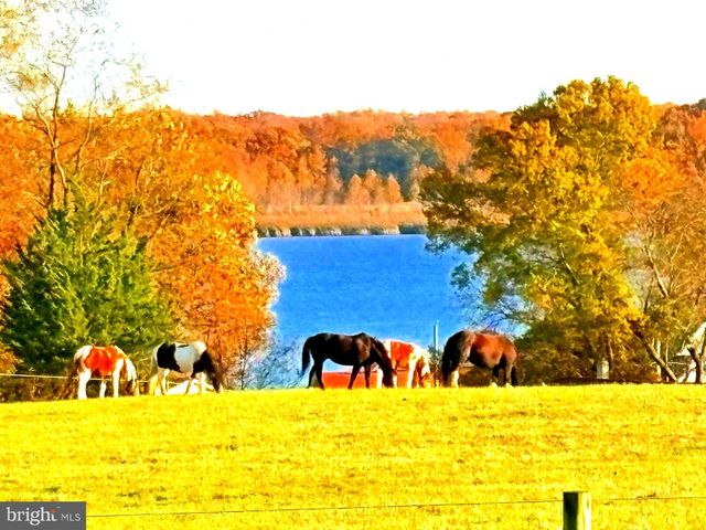 137 ELK RANCH PARK RD, Elkton, MD 21921