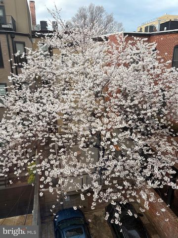 1420 Q ST NW, Washington, DC 20009