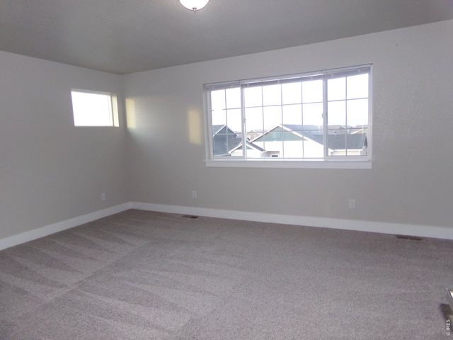 1754 Avery Plaza St, Severance, CO 80550