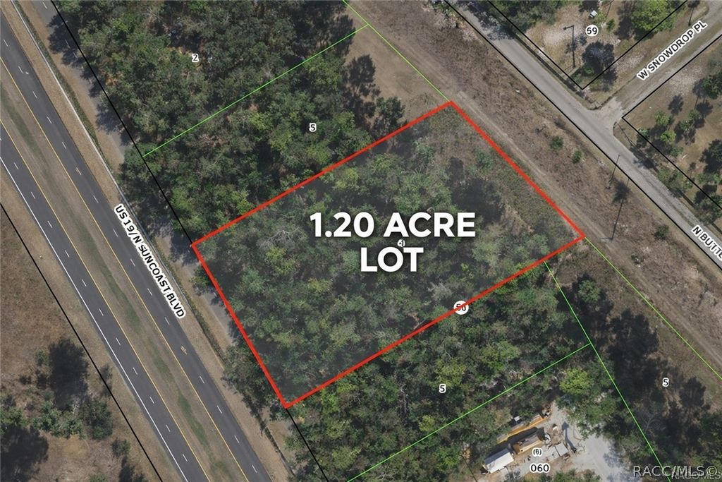 8835 N Bellflower Way, Crystal River, FL 34428