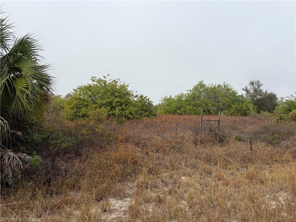 1509 Wells AVE, LEHIGH ACRES, FL 33972 — photo 2