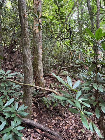 000 Wilson Road, Pisgah Forest, NC 28768