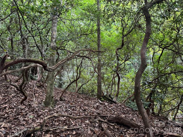 000 Wilson Road, Pisgah Forest, NC 28768