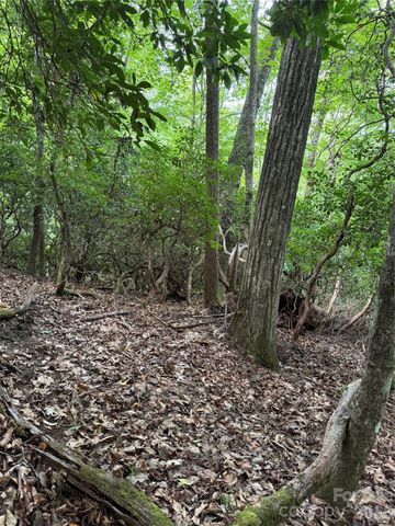 000 Wilson Road, Pisgah Forest, NC 28768