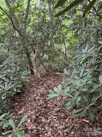 000 Wilson Road, Pisgah Forest, NC 28768