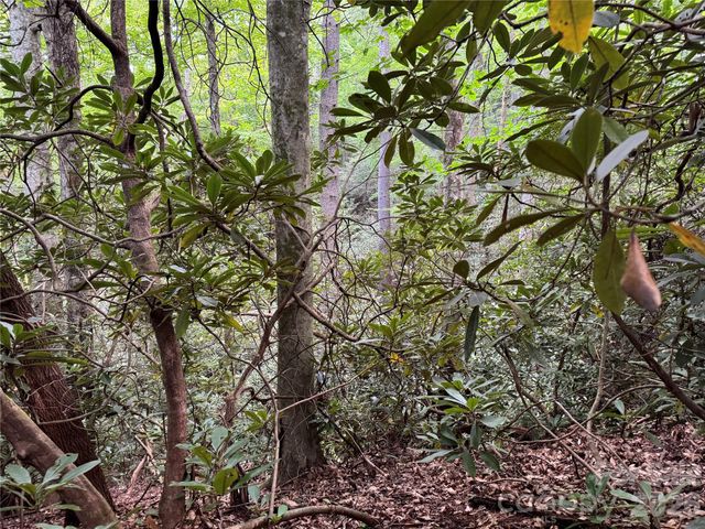 000 Wilson Road, Pisgah Forest, NC 28768
