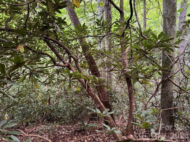 000 Wilson Road, Pisgah Forest, NC 28768