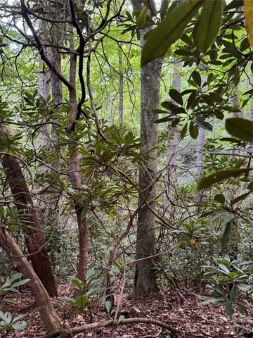 000 Wilson Road, Pisgah Forest, NC 28768