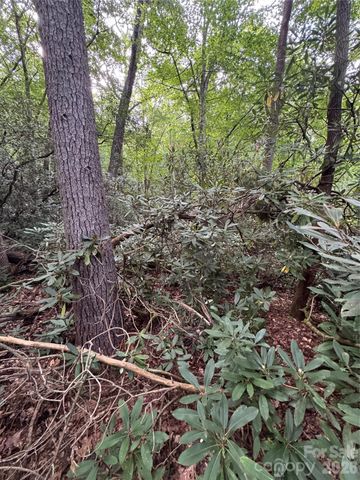 000 Wilson Road, Pisgah Forest, NC 28768