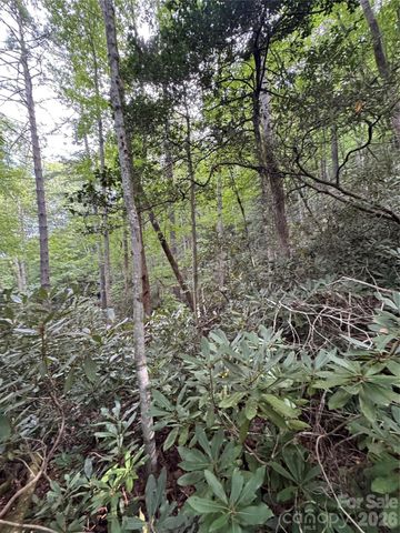 000 Wilson Road, Pisgah Forest, NC 28768