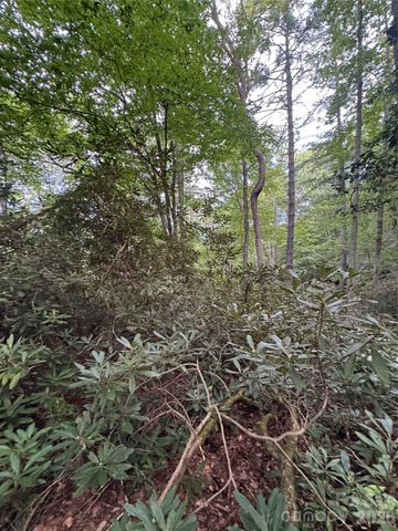 000 Wilson Road, Pisgah Forest, NC 28768