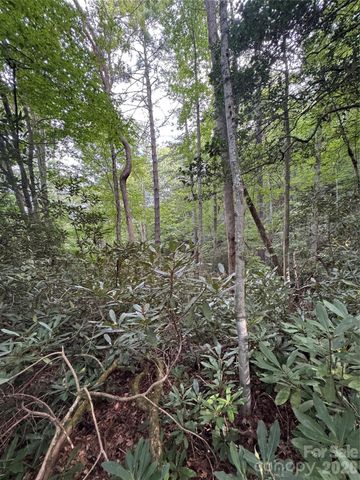000 Wilson Road, Pisgah Forest, NC 28768