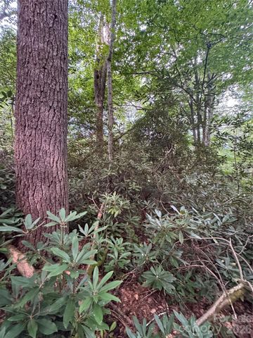 000 Wilson Road, Pisgah Forest, NC 28768