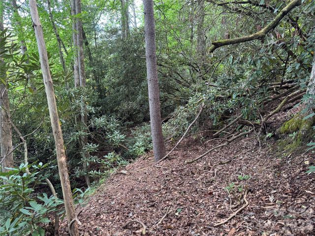 000 Wilson Road, Pisgah Forest, NC 28768
