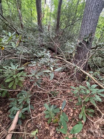 000 Wilson Road, Pisgah Forest, NC 28768