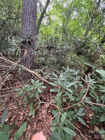 000 Wilson Road, Pisgah Forest, NC 28768