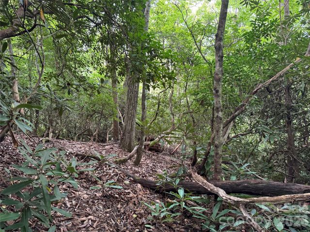 000 Wilson Road, Pisgah Forest, NC 28768
