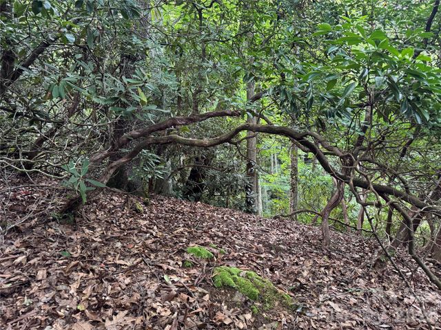 000 Wilson Road, Pisgah Forest, NC 28768