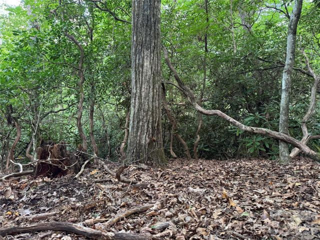 000 Wilson Road, Pisgah Forest, NC 28768