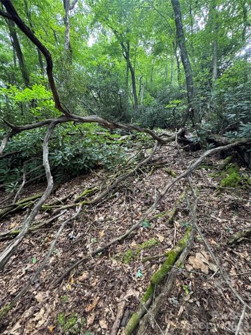 000 Wilson Road, Pisgah Forest, NC 28768