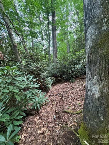 000 Wilson Road, Pisgah Forest, NC 28768