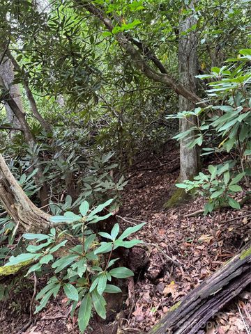 000 Wilson Road, Pisgah Forest, NC 28768