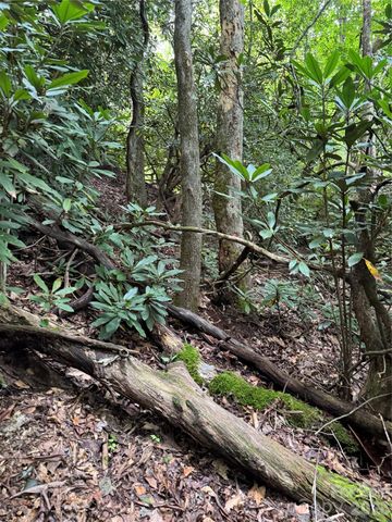 000 Wilson Road, Pisgah Forest, NC 28768