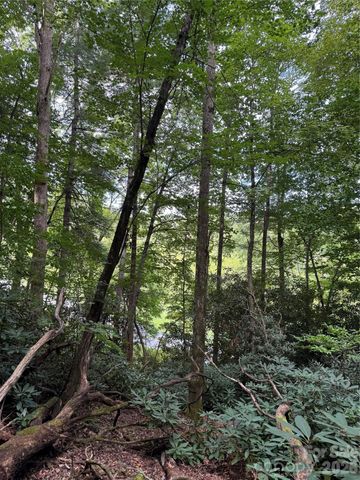 000 Wilson Road, Pisgah Forest, NC 28768