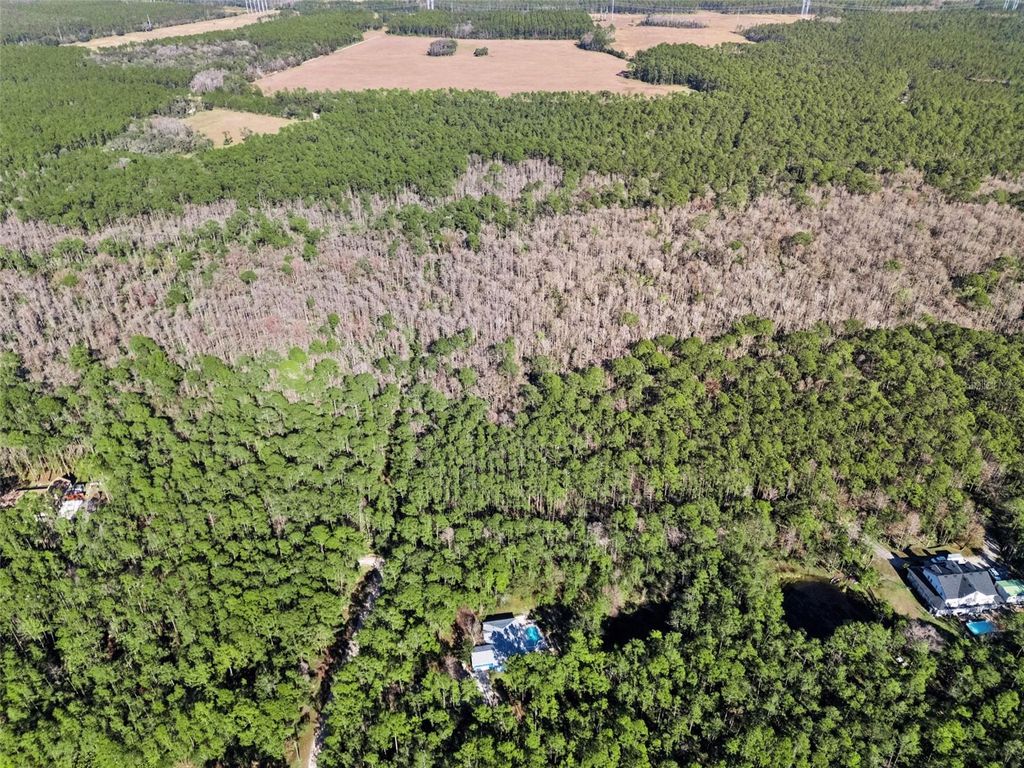 Image 58 of property listing at 3441 HICKORY CREEK ROAD, Deltona, FL 32738