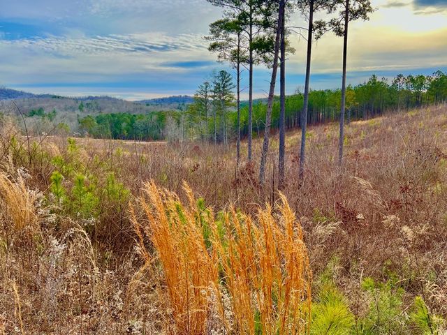 268 Highgrove Drive, Talking Rock, GA 30175