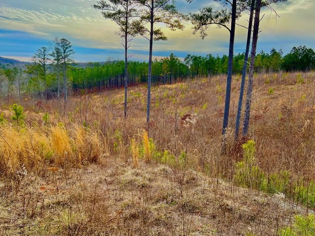 268 Highgrove Drive, Talking Rock, GA 30175