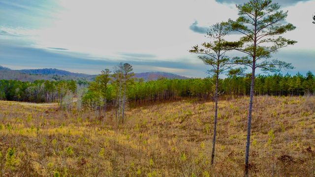 268 Highgrove Drive, Talking Rock, GA 30175