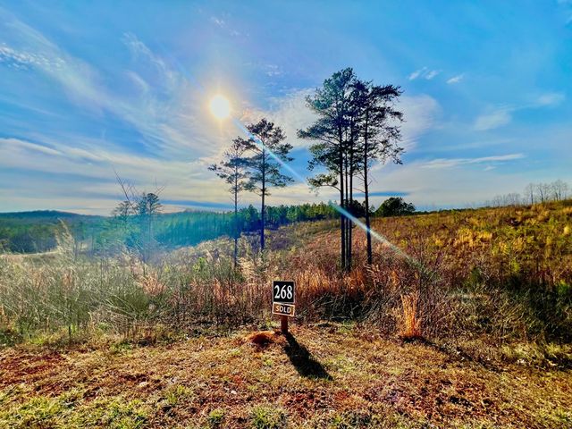 268 Highgrove Drive, Talking Rock, GA 30175