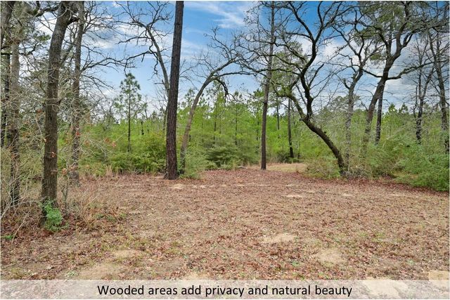 170 Woodland CT, Bastrop, TX 78602