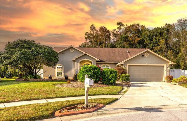 26203 CORKWOOD COURT, Land O Lakes, FL 34639