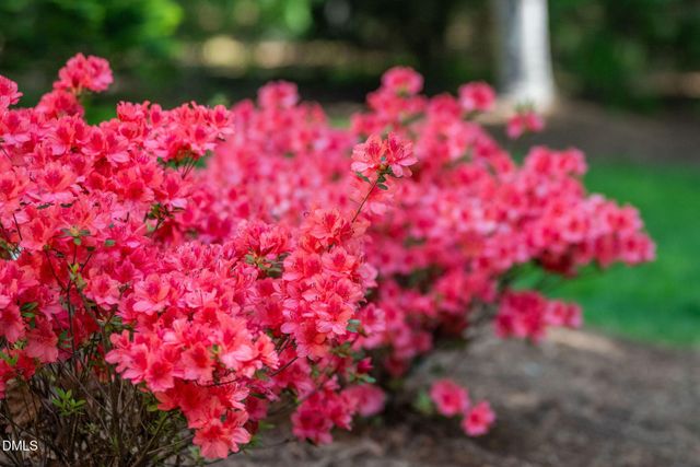 105 Fifemoor Court, Cary, NC 27518